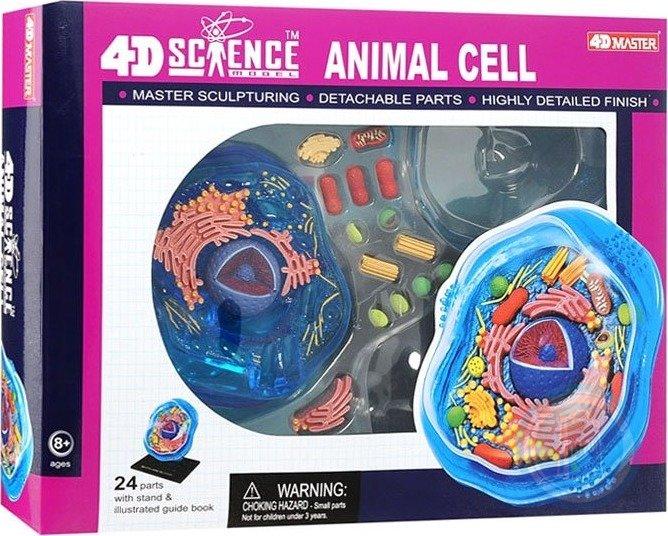 Famemaster 4D-Science Animal Cell Anatomy Model 