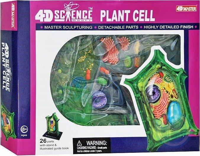 Famemaster 4D-Science Plant Cell Anatomy Model 