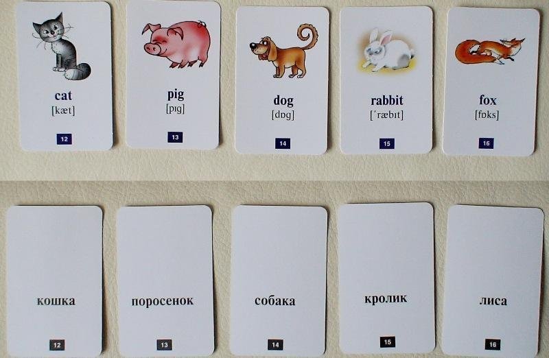 Немецкие слова по темам + карточки