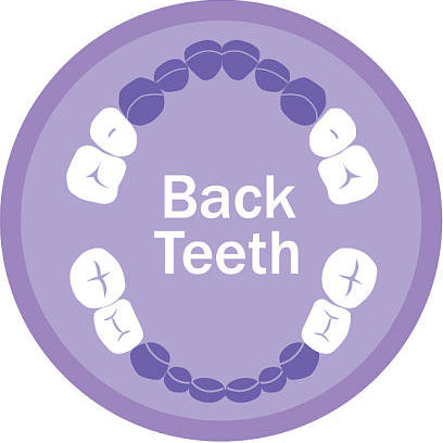 Orajel® Back Teeth Teether Toy 