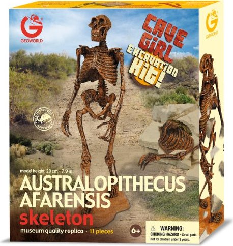 Geoworld African Mountain First Girl Australopithecus Afarensis Skeleton STEM 