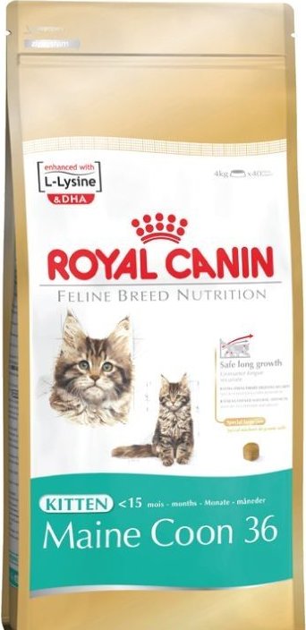 royal canin kitten 36 2kg